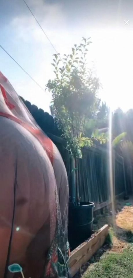 Jessica Miller OnlyFans Porn Nackt