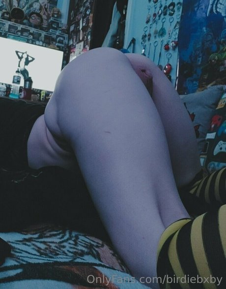 birdiebxby OnlyFans Fotos