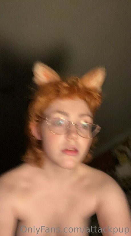 attackpup OnlyFans Bilder nackt