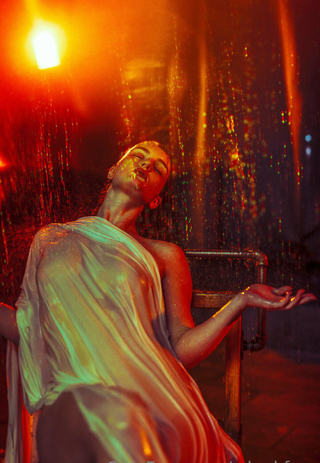 zdankfree OnlyFans Inhaltstyp