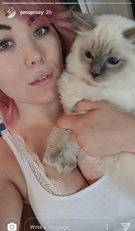 Pmsproxy Nacktpornos auf OnlyFans