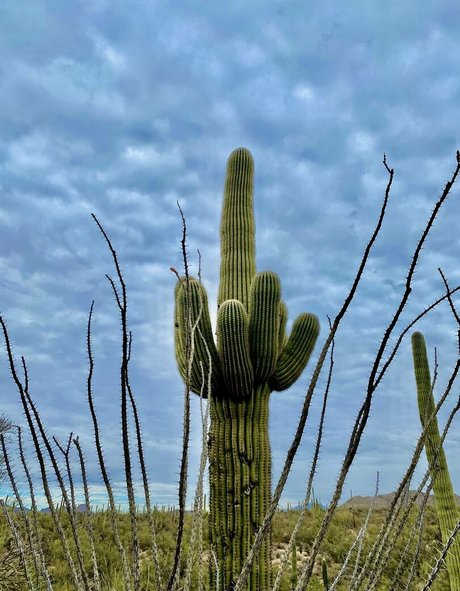 loandthecosmos2 OnlyFans gratis