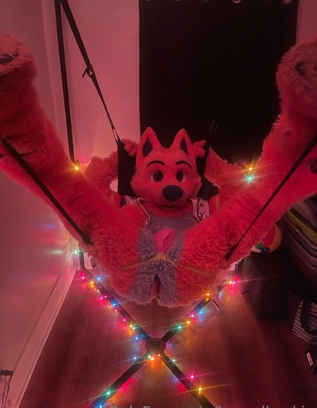 houndhuskio Oben ohne OnlyFans