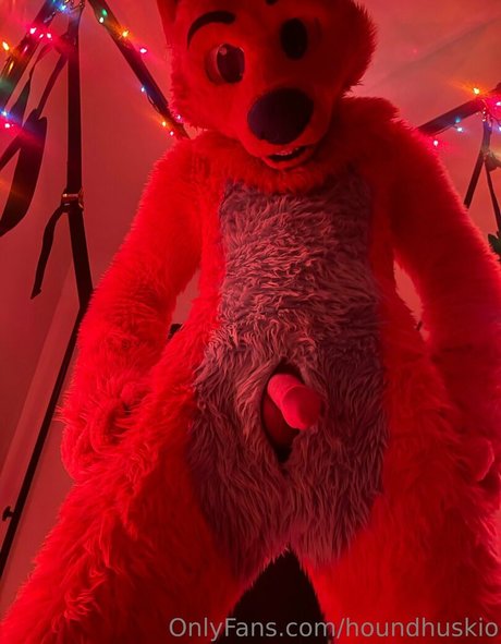 houndhuskio Nacktbilder von OnlyFans geleakt