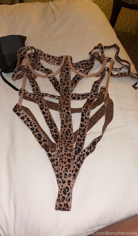 biancapetrovickyoficial OnlyFans-Archiv