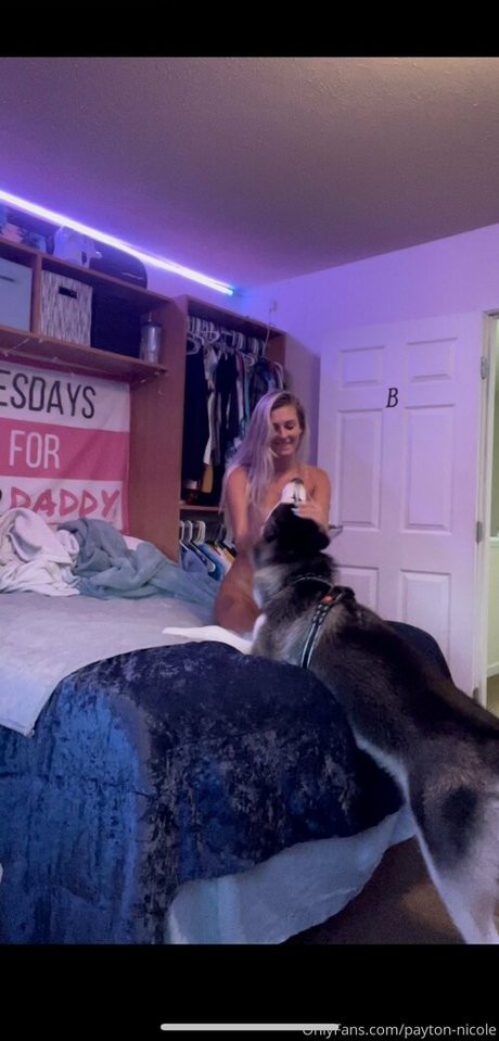 payton nicole Nacktporno OnlyFans