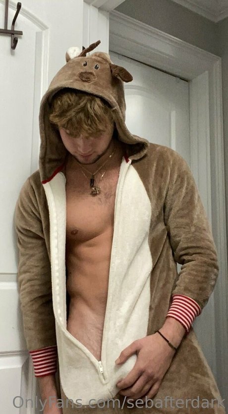 sebafterdark Kostenlose OnlyFans-Inhalte