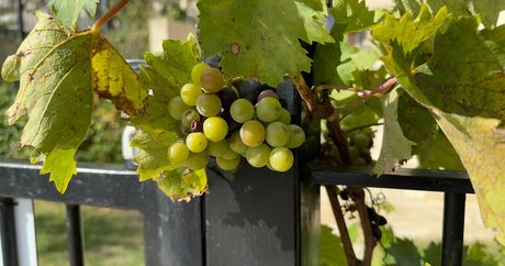 alfredcox OnlyFans Leaks Pornografie