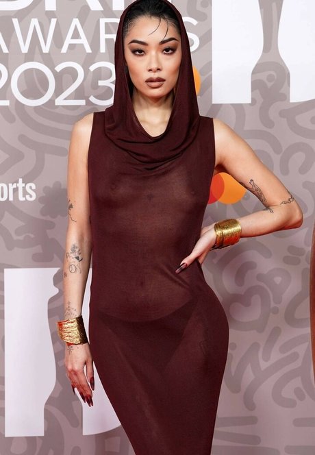 Rina Sawayama Leaks von Nacktbildern auf OnlyFans