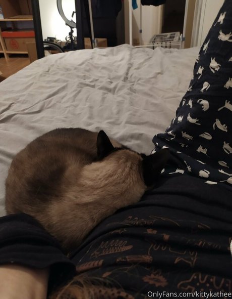 kittykathee OnlyFans Nacktbilder geleakt