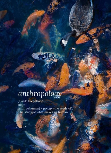 catgod x OnlyFans-Sex