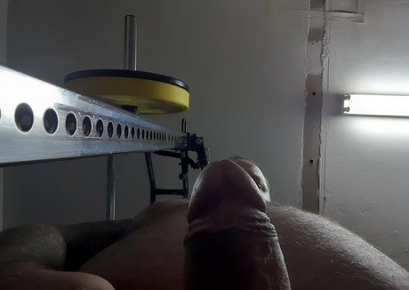 celtic bear Titten OnlyFans