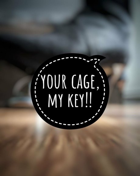 vixenmayfree Heiße OnlyFans Inhalte