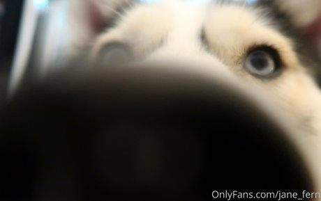 jane fern OnlyFans