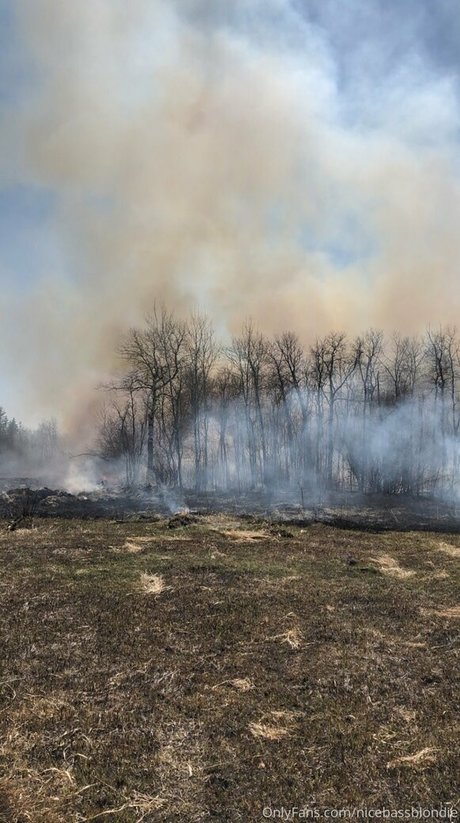 nicebassblondie OnlyFans-Komplettinhalte