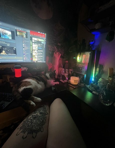 Kitty Titty OnlyFans Sextape geleakt