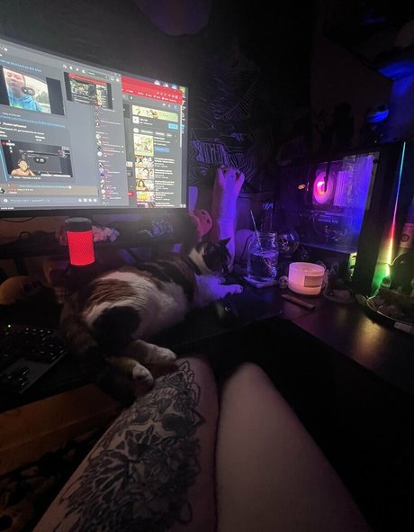 Kitty Titty OnlyFans Pornografie