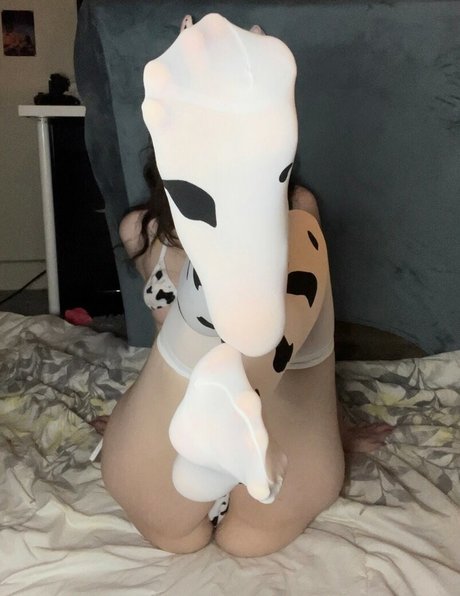 hospitalchan OnlyFans-Archiv