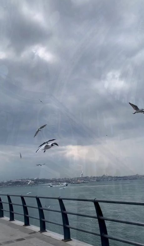 Emina Jahi OnlyFans Nacktbilder