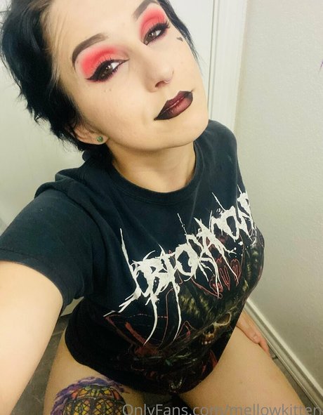 mellowkitten OnlyFans Nacktbilder