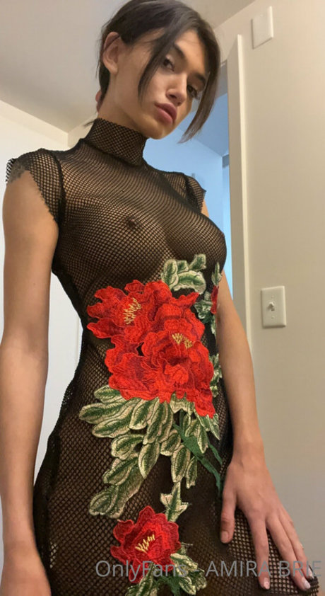 Amira Brie porn model archive