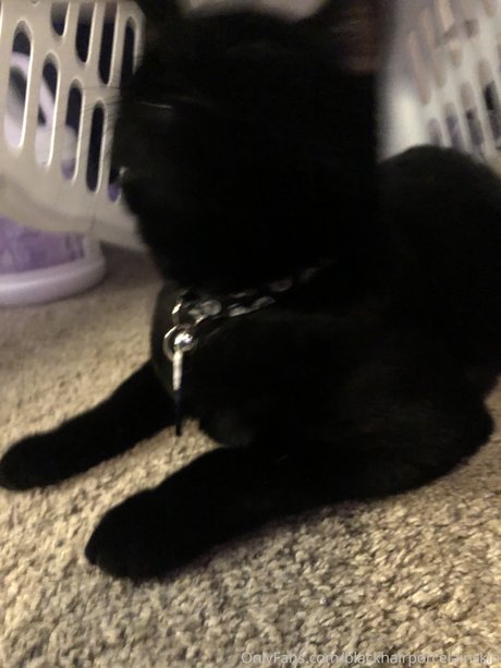 mature squirt onlyfans nude pictures