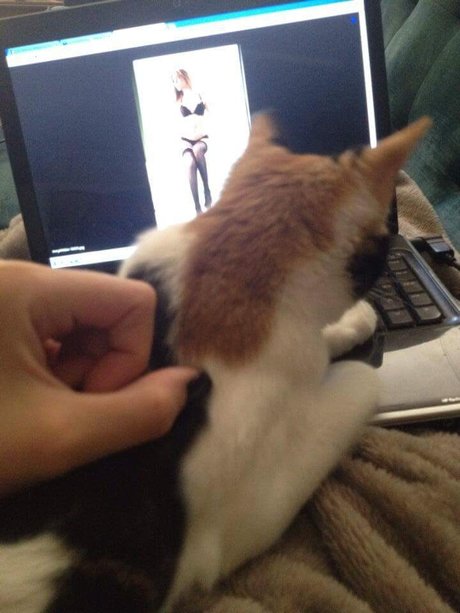 Amy wilder nude star images