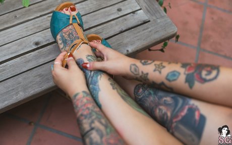 medianochebaby pornstar perfect archive