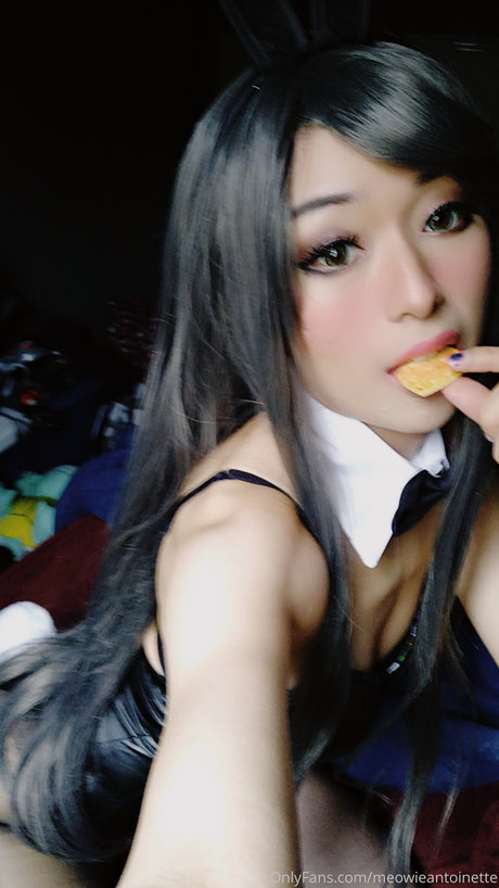 Meowieantoinette porn star images
