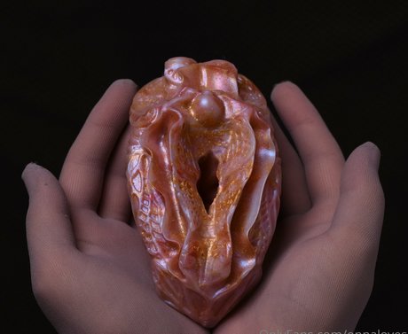 onnaloves top model image