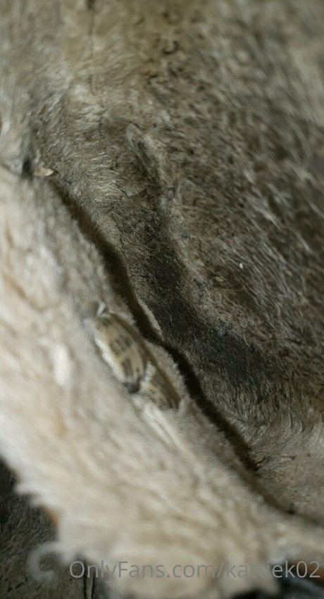 kattiek02 hot star photos