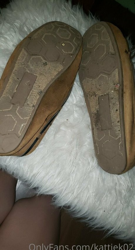 kattiek02 model best archive