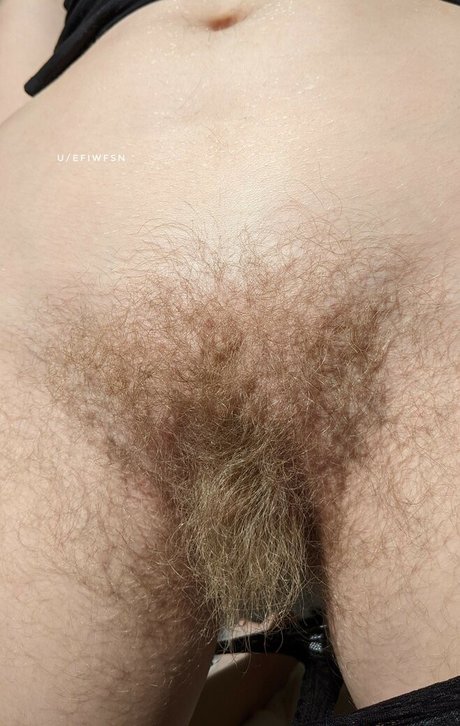 efiwfsn star hd photo