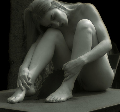 martinniederberger best pornstar galleries