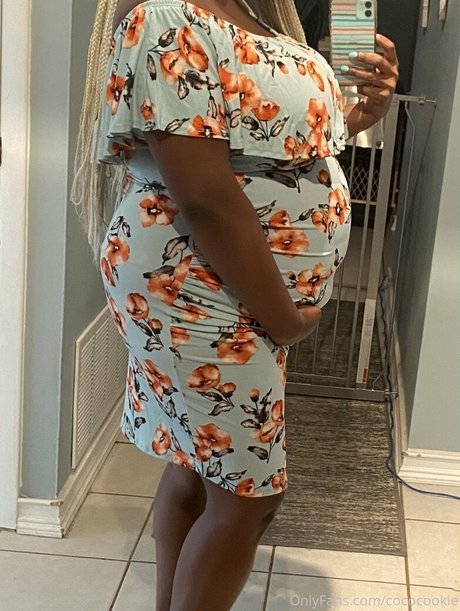 cococookie art pornstar img