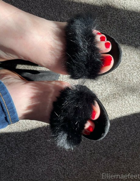 elliemaesfeet hot pornstar images