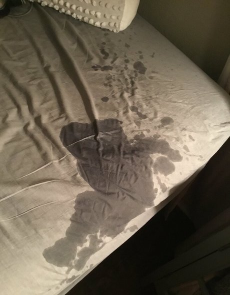 autumn onlyfans sex archive