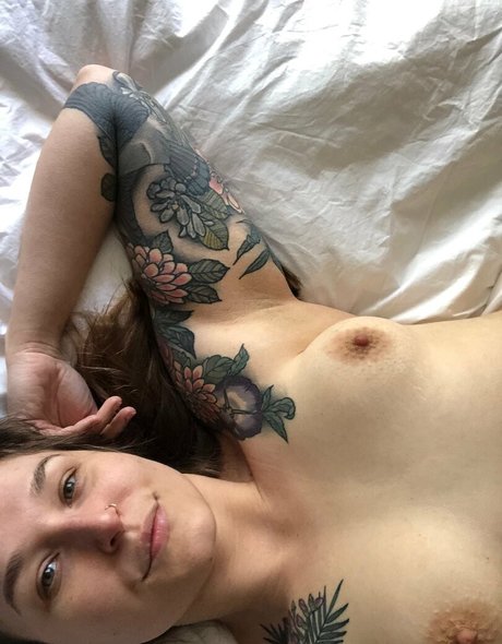 sbdolphin star best archive