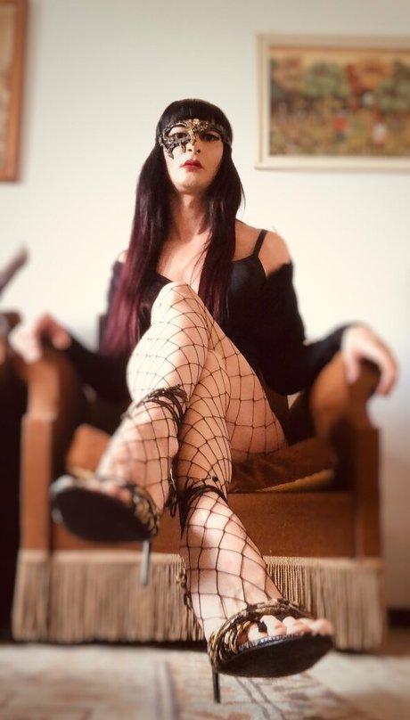 nikyborr free star pictures