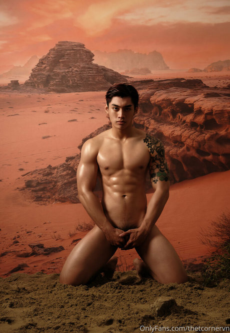 thetcornervn xxx model picture