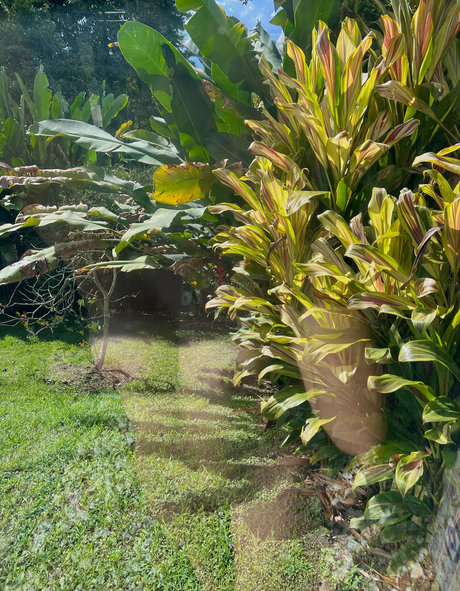 oursecret free xxx pornstar images