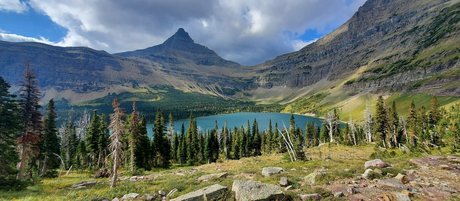 theofficialraybaby pornstar art archive