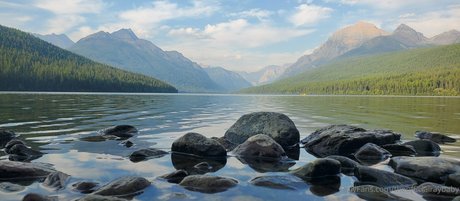 theofficialraybaby free star galleries