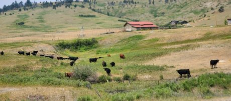 theofficialraybaby high quality model gallery