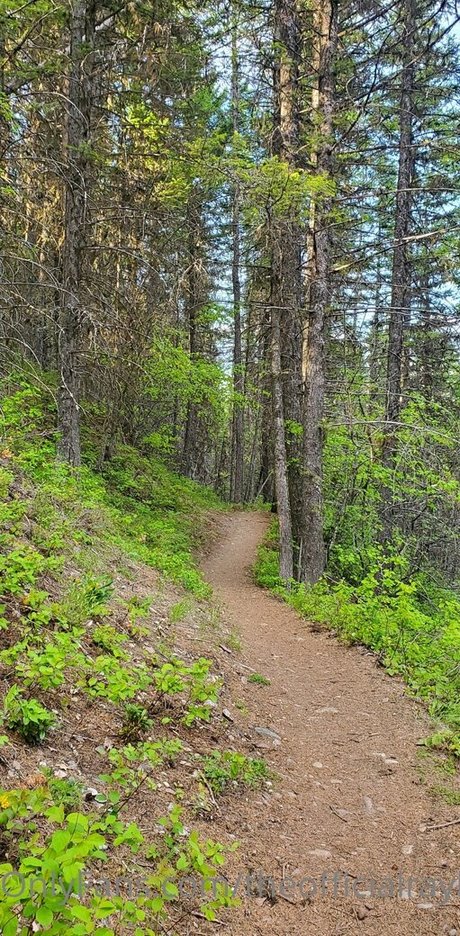 theofficialraybaby star best photos