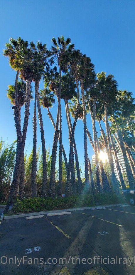 milf asshole onlyfans art nude photos