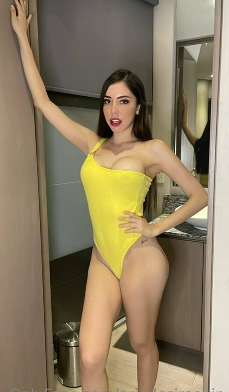 ariadesireevip model pornographic img