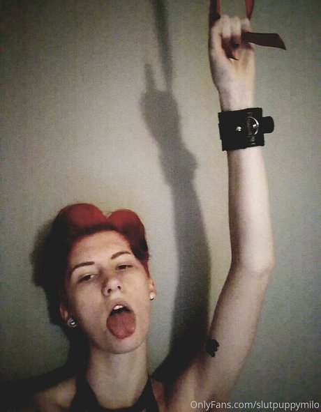 slutpuppymilo star best gallery