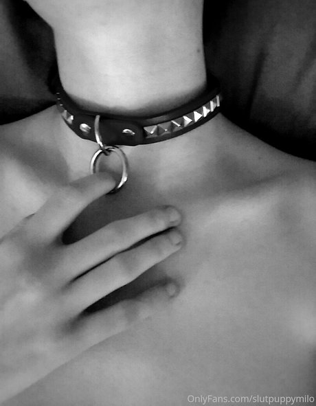 slutpuppymilo star high quality photo