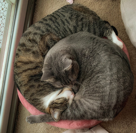 chubby latina teen onlyfans sexy nude photos